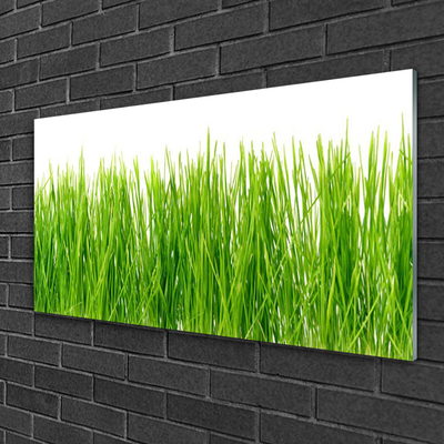 Glass Wall Art Grass nature green