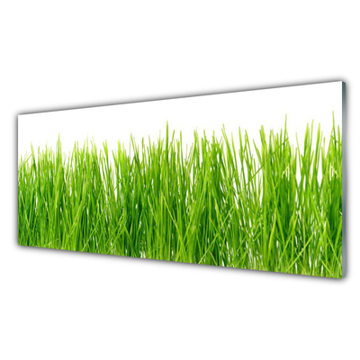 Glass Wall Art Grass nature green