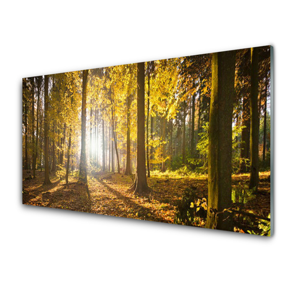 Glass Wall Art Forest nature brown green