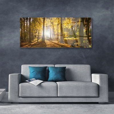 Glass Wall Art Forest nature brown green