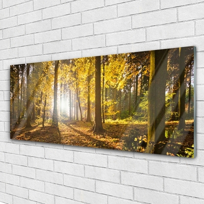 Glass Wall Art Forest nature brown green