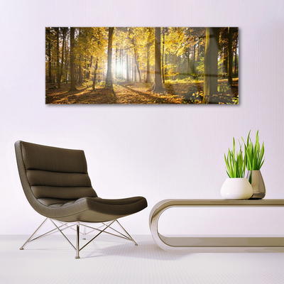 Glass Wall Art Forest nature brown green