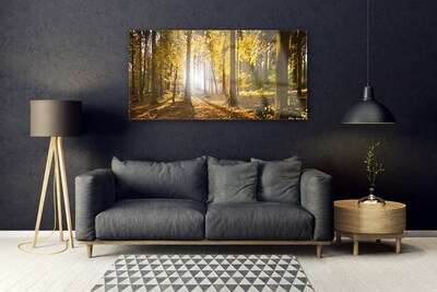 Glass Wall Art Forest nature brown green