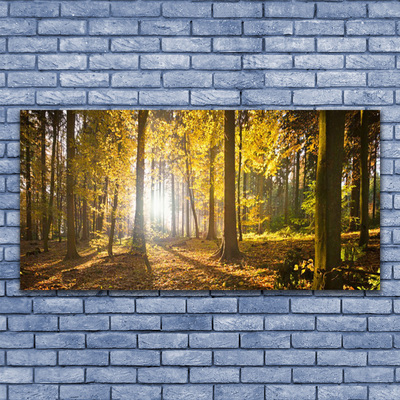 Glass Wall Art Forest nature brown green