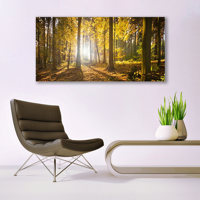 Glass Wall Art Forest nature brown green