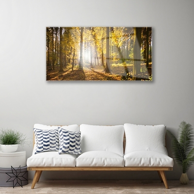 Glass Wall Art Forest nature brown green