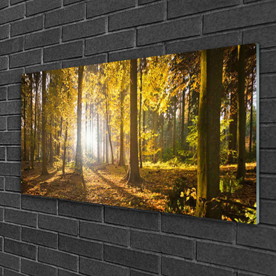 Glass Wall Art Forest nature brown green