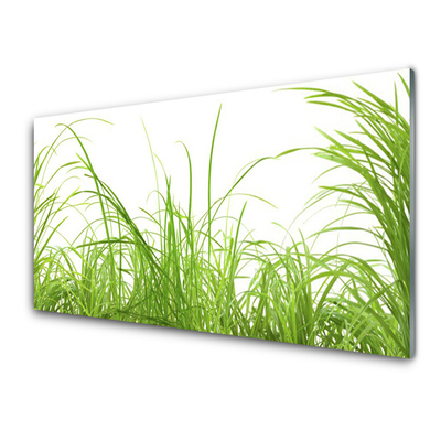 Glass Wall Art Grass nature green