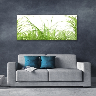 Glass Wall Art Grass nature green