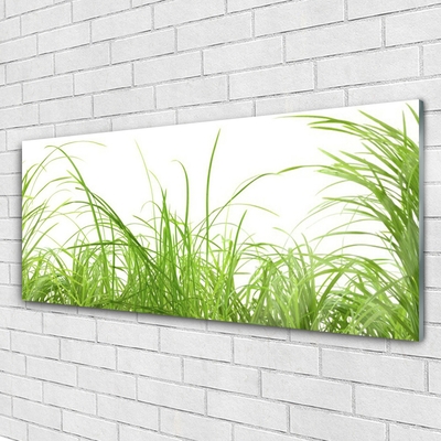 Glass Wall Art Grass nature green