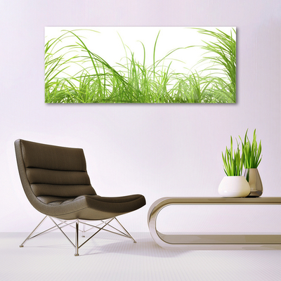 Glass Wall Art Grass nature green