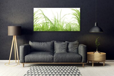 Glass Wall Art Grass nature green