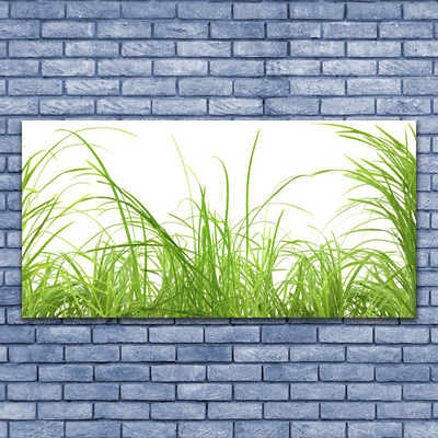 Glass Wall Art Grass nature green