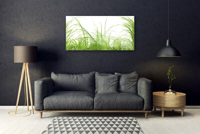 Glass Wall Art Grass nature green