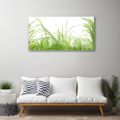 Glass Wall Art Grass nature green