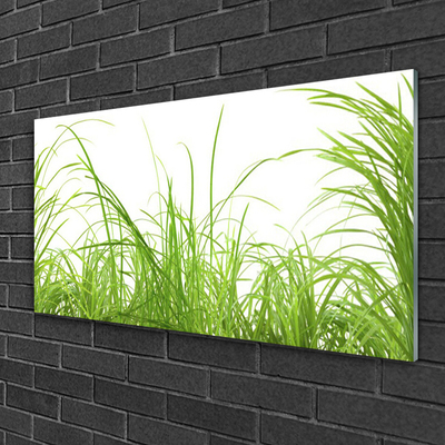 Glass Wall Art Grass nature green