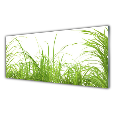 Glass Wall Art Grass nature green