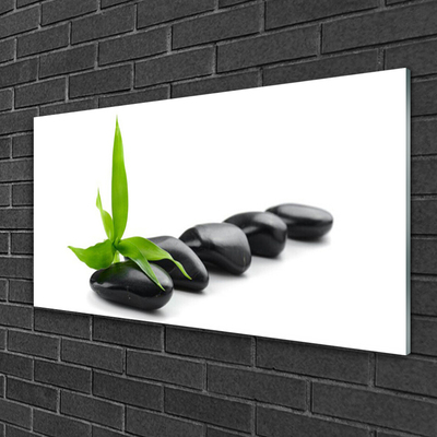 Glass Wall Art Stones leaves art black green