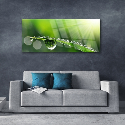 Glass Wall Art Grass dew drops floral green