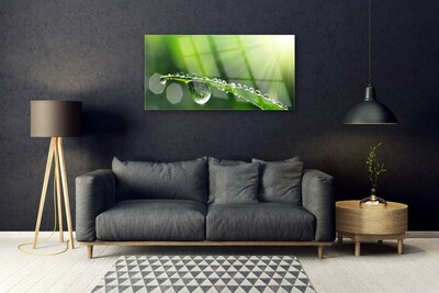 Glass Wall Art Grass dew drops floral green