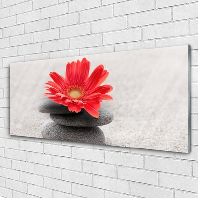 Glass Wall Art Flower stones art orange grey