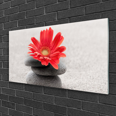 Glass Wall Art Flower stones art orange grey