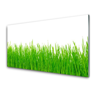 Glass Wall Art Weed nature green