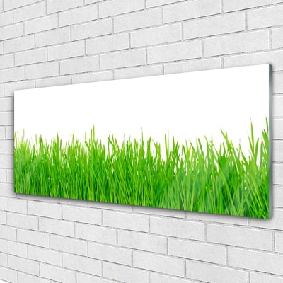 Glass Wall Art Weed nature green