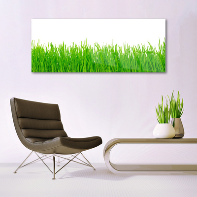 Glass Wall Art Weed nature green