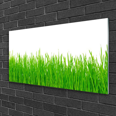 Glass Wall Art Weed nature green