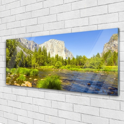 Glass Wall Art Lake mountain forest nature blue green grey