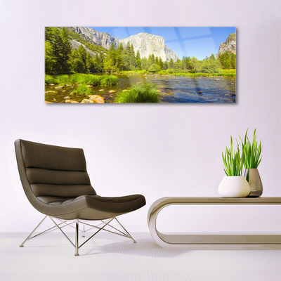 Glass Wall Art Lake mountain forest nature blue green grey