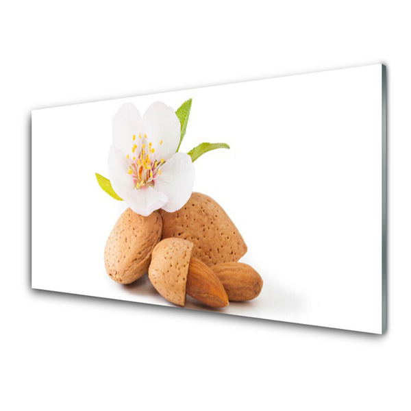 Glass Wall Art Flower pistachios floral white brown