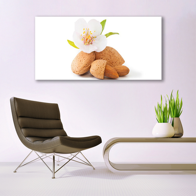 Glass Wall Art Flower pistachios floral white brown