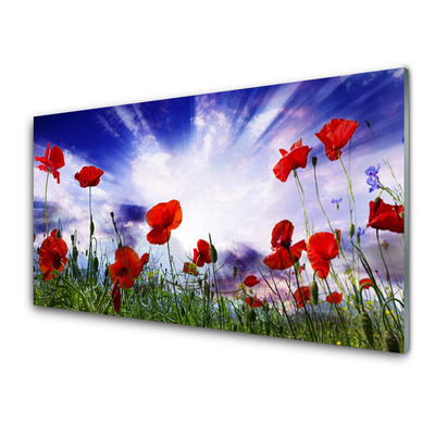 Glass Wall Art Poppies nature red green purple white