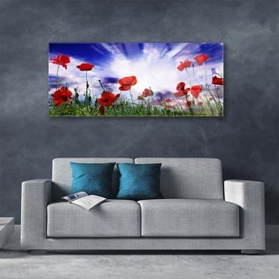 Glass Wall Art Poppies nature red green purple white