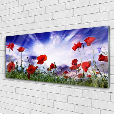 Glass Wall Art Poppies nature red green purple white