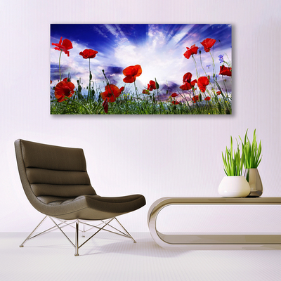 Glass Wall Art Poppies nature red green purple white