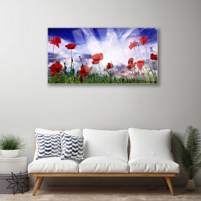 Glass Wall Art Poppies nature red green purple white