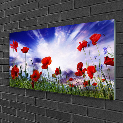 Glass Wall Art Poppies nature red green purple white