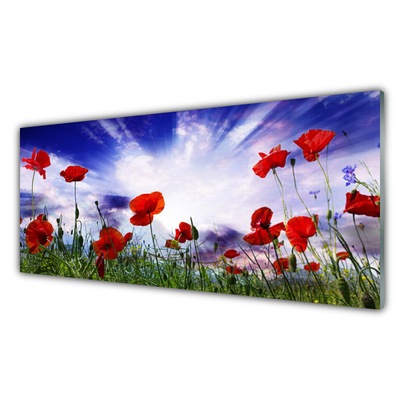 Glass Wall Art Poppies nature red green purple white