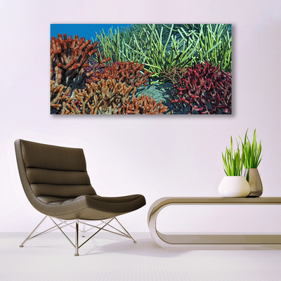 Glass Wall Art Coral reef nature multi