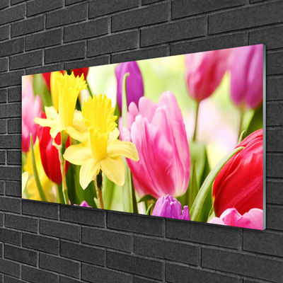 Glass Wall Art Flowers floral red yellow green