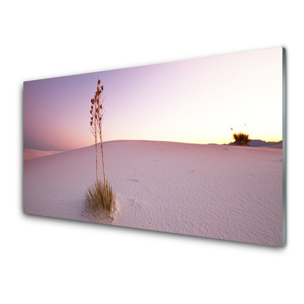 Glass Wall Art Desert landscape brown