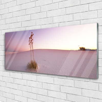 Glass Wall Art Desert landscape brown