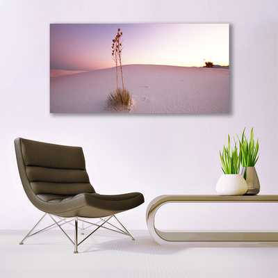 Glass Wall Art Desert landscape brown