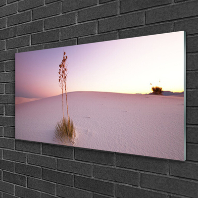 Glass Wall Art Desert landscape brown