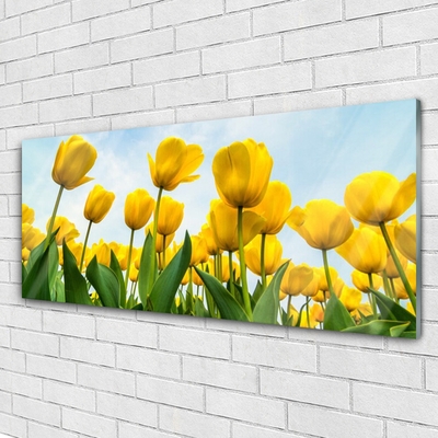 Glass Wall Art Tulips floral yellow green