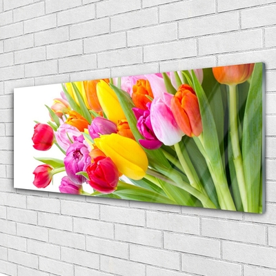 Glass Wall Art Tulips floral multi