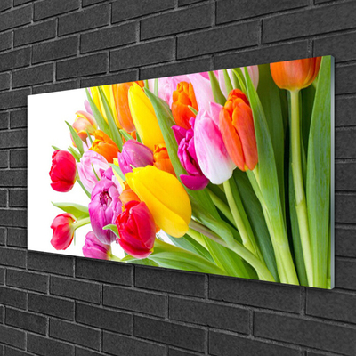 Glass Wall Art Tulips floral multi